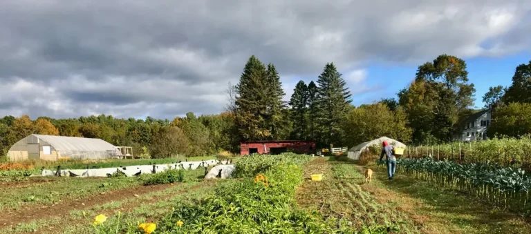 Great Song Farm, Red Hook, Dutchess County NY