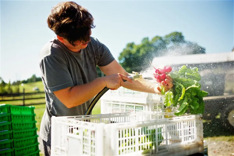 Ironwood Farm, Hudson, Columbia County NY