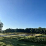 Truman Farms, Lagrangeville, Dutchess County NY