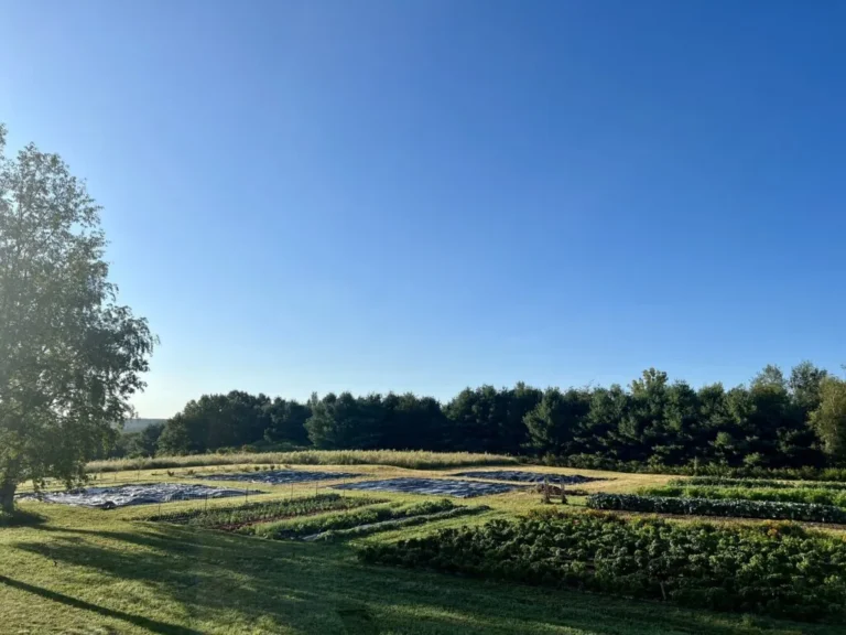 Truman Farms, Lagrangeville, Dutchess County NY